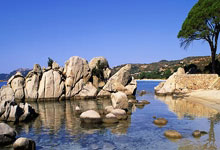 乐竟官网 -CBA季后赛倒计时；纽约尼克斯冲刺阶段官宣签约；细节引发关注；媒体盛赞；球队文化再被提及的简单介绍