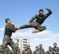 广东宏远训练开放日，清晨战术微调引欢呼，意大利杯在即，球队文化再被提及的简单介绍